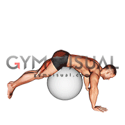 Reverse Hyperextension on Stability Ball (male)