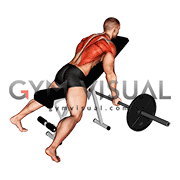 Barbell Reverse Grip Incline Bench Row