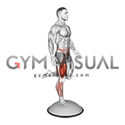 Bosu Ball Balance Counterbalanced Skater Squat (male)