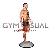 Bosu Ball Balance Counterbalanced Skater Squat (male)