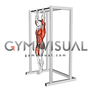 Hanging Tucked Front Lever Hold (male)