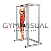 Hanging Tucked Front Lever Hold (male)