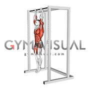 Hanging Advanced Tucked Front Lever Hold (male)