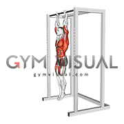 Hanging Front Lever Hold (male)