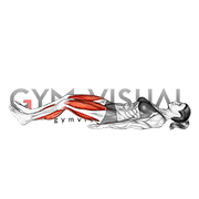 Glute Bridge Walk (female)