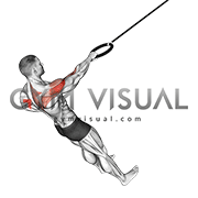 Ring Single Arm Rear Delt Row (male)