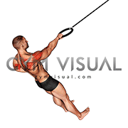Ring Single Arm Rear Delt Row (male)