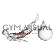 Straight Hip Single Leg Curl on Stability Ball (male)