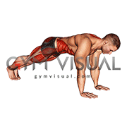 Mountain Climber Cross Kick (male)