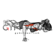 Isometric Hold Wide Hand Push-up (female)