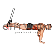 Ring Isometric Hold Reverse Ab Rollout