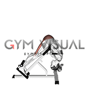 45 Degree Hip Extension Glute Focused (VERSION 2) (female)