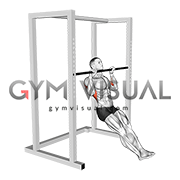 Seated Isometric Hold Pull up