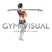 Isometric Hold Close Grip Chin-up (female)