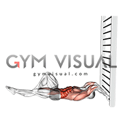 Lying Floor Single Leg Negative Dragon Flag
