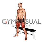 Wide Bench Air Squat (male)