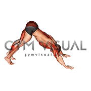 Pike to Cobra Push-up