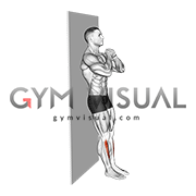 Bodyweight Tibialias Raise Wall Supported (male)