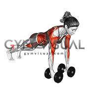 Dumbbell Renegade Row (female)
