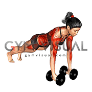 Dumbbell Renegade Row (female)