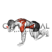 Kneeling Back Rotation