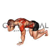 Kneeling Back Rotation