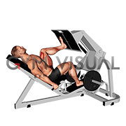 Lever Angled Single Leg Press (male)