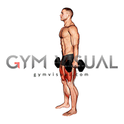 Dumbbell Romanian Deadlift to Squat (male)