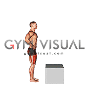 Step-up on Box