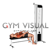 Cable Lying Upright Row (SZ bar) (male)