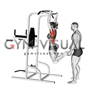 Partner Assisted Pull-up (female)