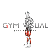 Countermovement Jump Arms on Hip (male)