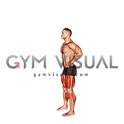 Countermovement Jump Arms on Hip (male)