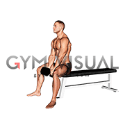 Dumbbell Sitting Good Morning (male)