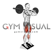 Barbell Elevated Heel Clean Grip Squat