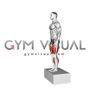 Box Drop Jump (male)