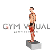 Box Drop Jump (male)