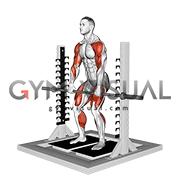 Isometric Mid Thighs Pull (male)