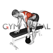 Kettlebell Bent over Row
