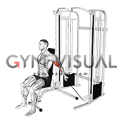 Cable Seated Unilateral Bicep Curl