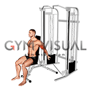 Cable Seated Unilateral Bicep Curl