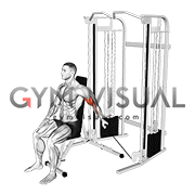 Cable Seated Single Arm Unilateral Bicep Curl
