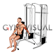 Cable Seated Single Arm Unilateral Bicep Curl