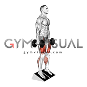 Dumbbell Elevated Heel Front Squat