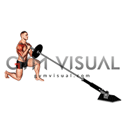 Landmine Half Kneeling Shoulders Press
