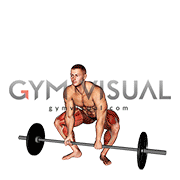 Barbell Frog Stance Deadlift (male)