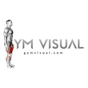 Bodyweight Walking Low Lunge (male)