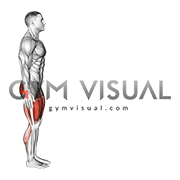 Long Distance Lunge (Low Lunge)