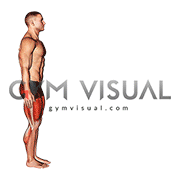 Long Distance Lunge (Low Lunge)