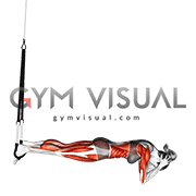 Suspender Headstand (female)